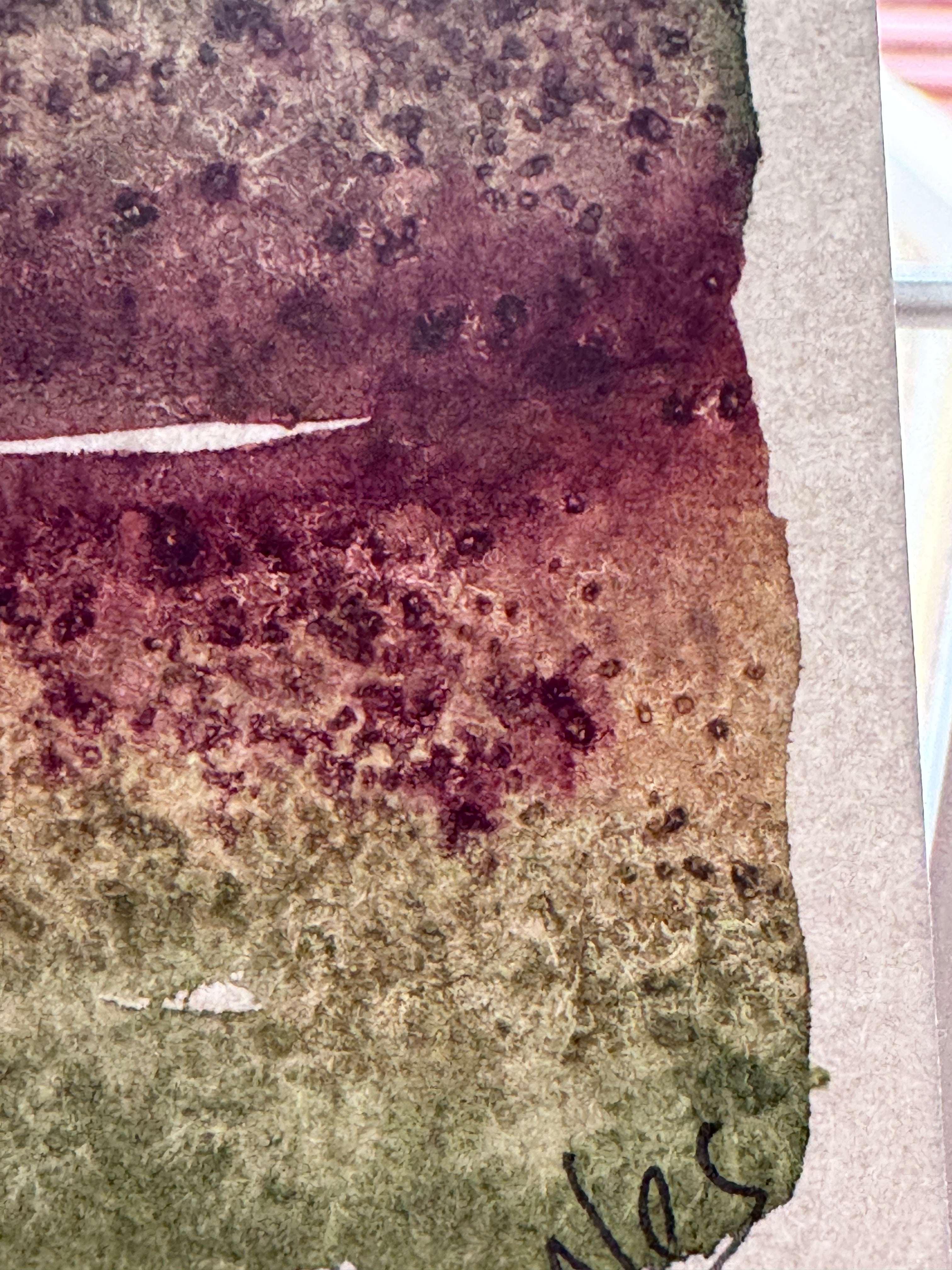 Earthline