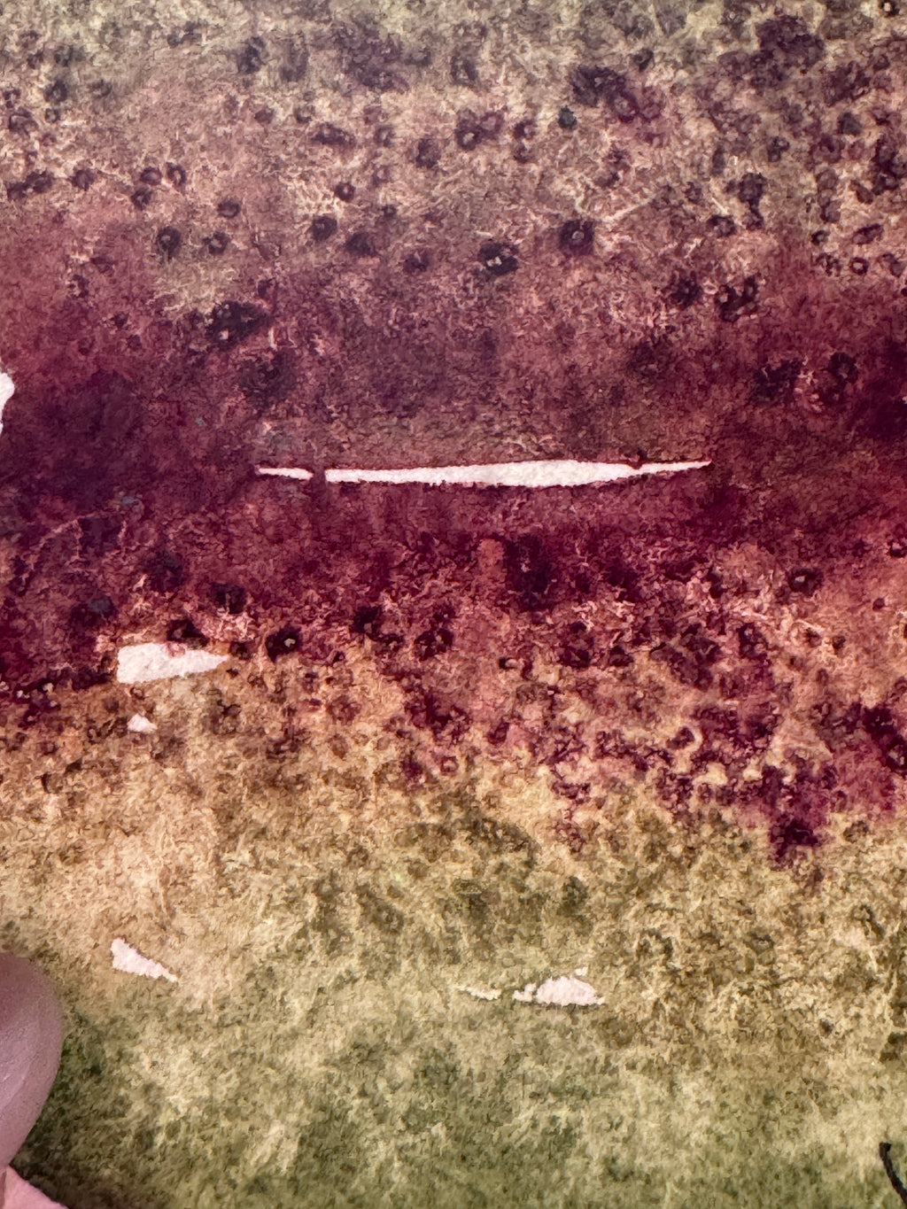 Earthline