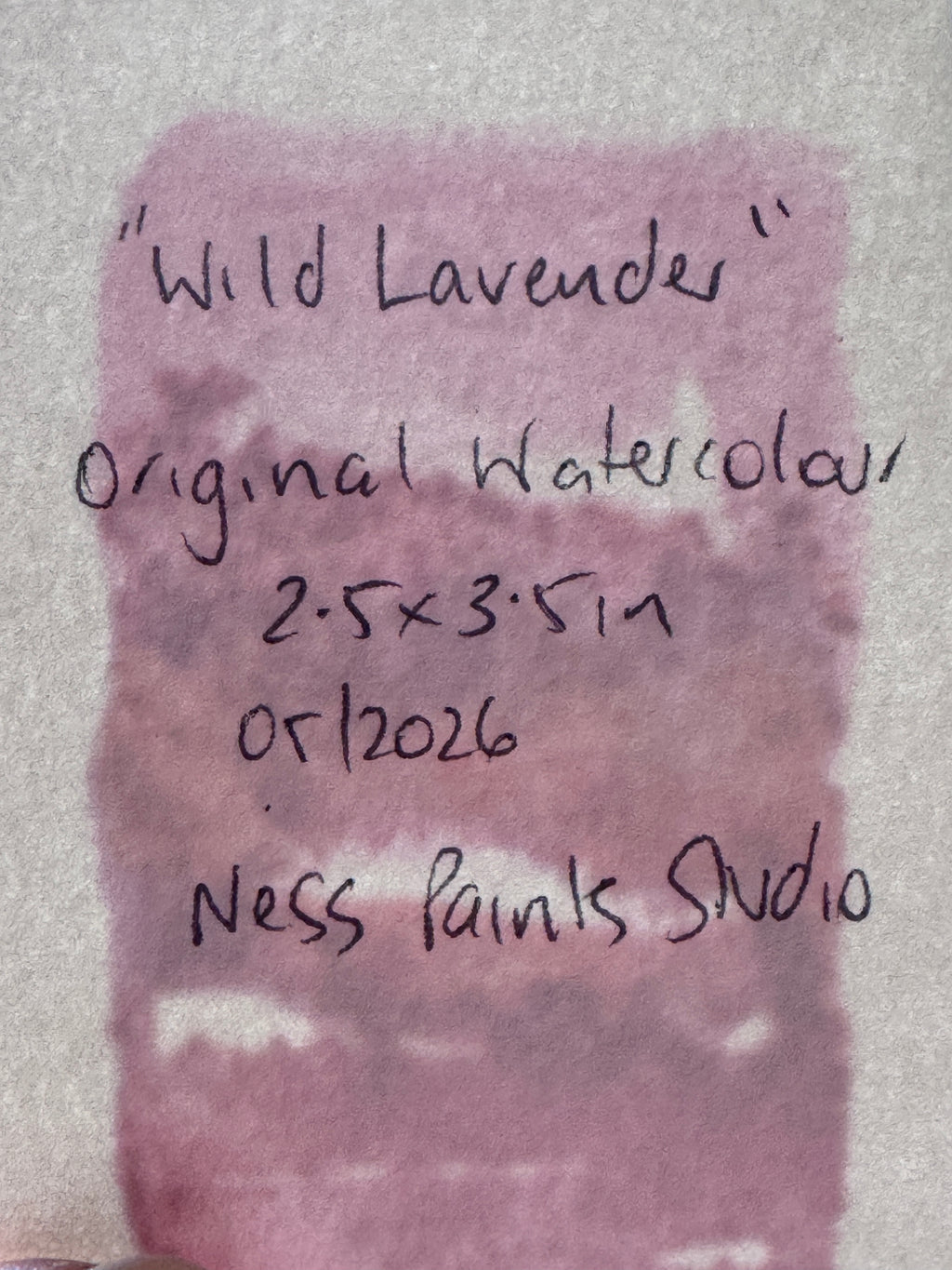 Wild Lavender