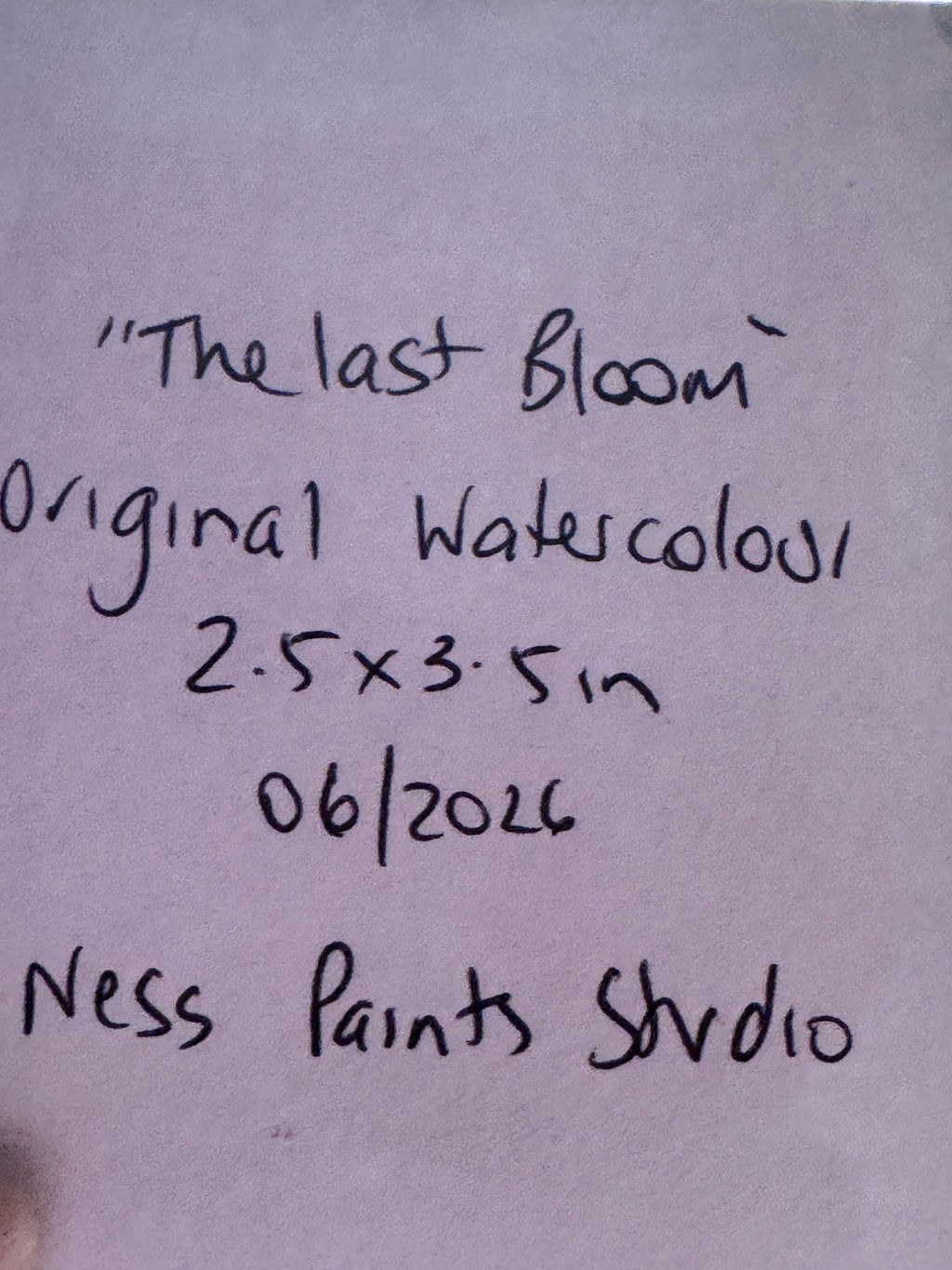 The Last bloom