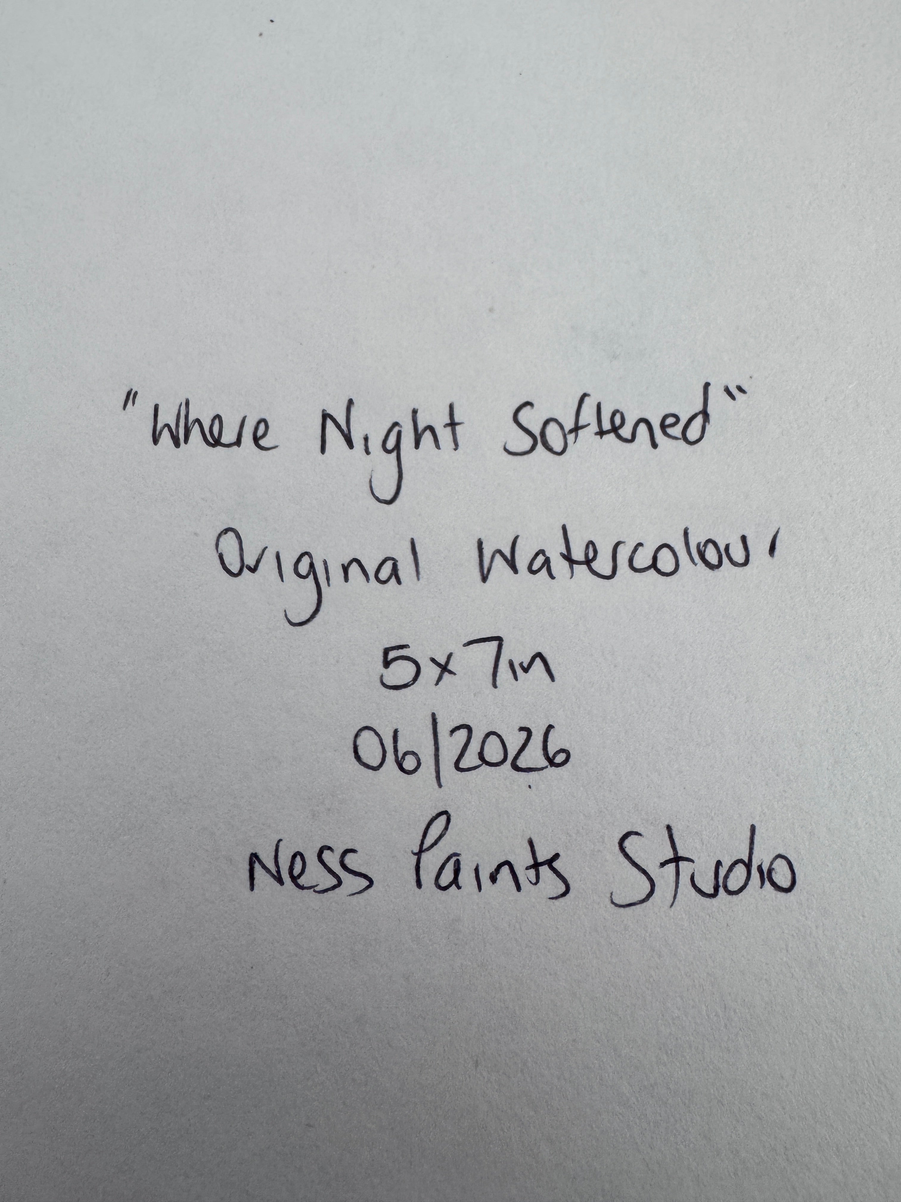 Where Night Softened (5x7in)