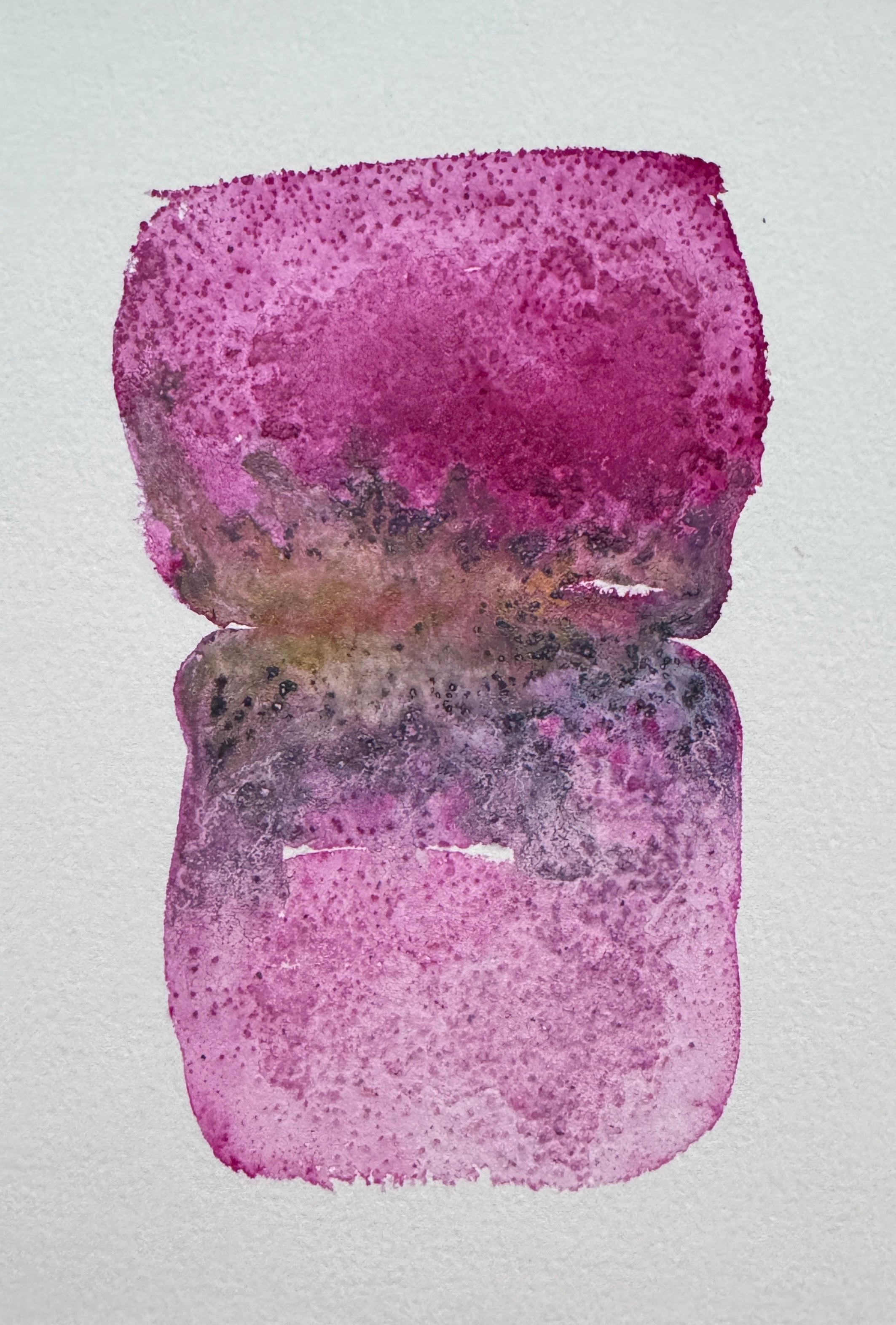 Where Light Endured (5x7in)