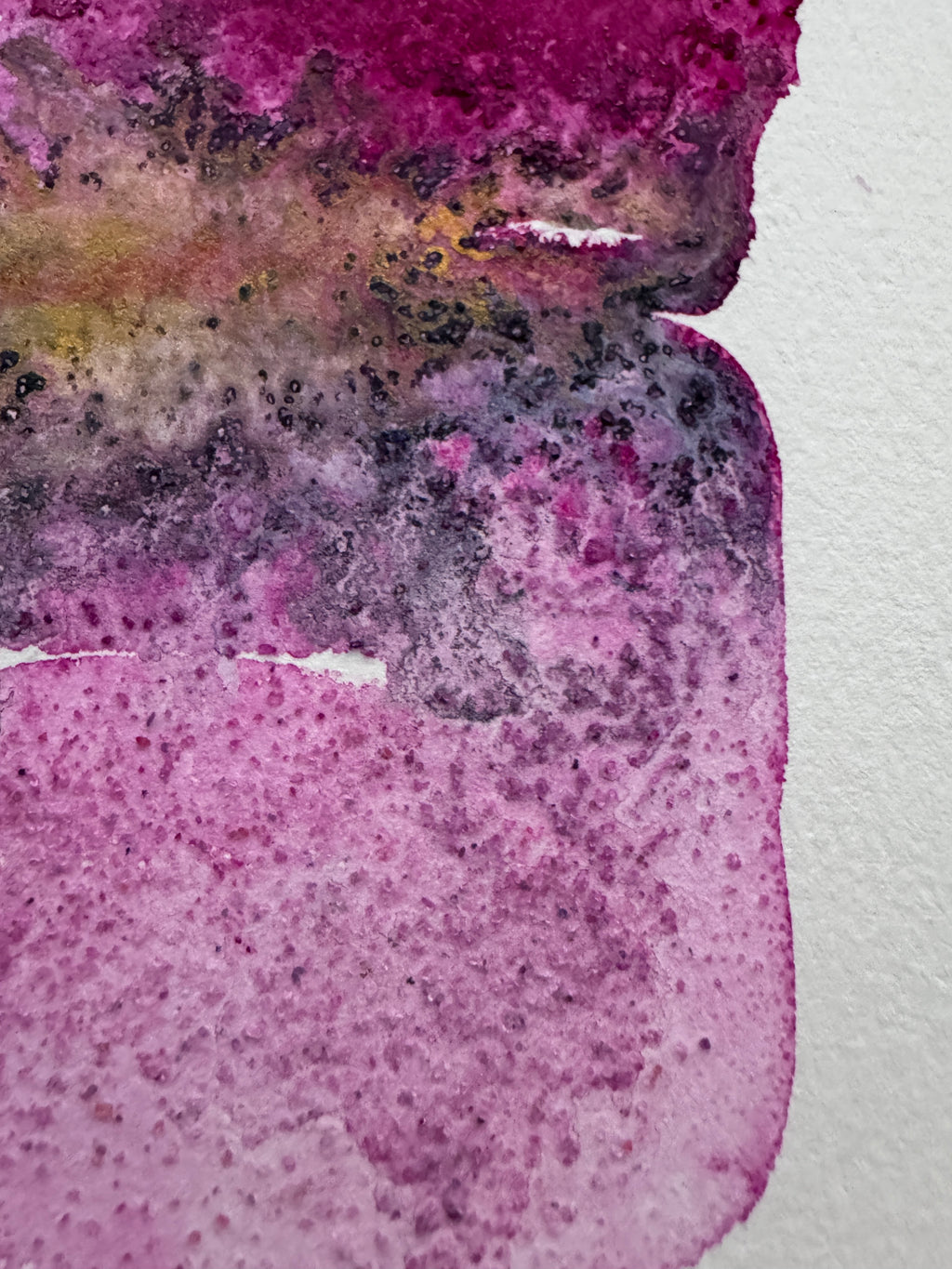 Where Light Endured (5x7in)