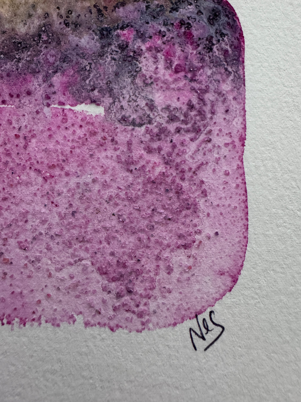 Where Light Endured (5x7in)