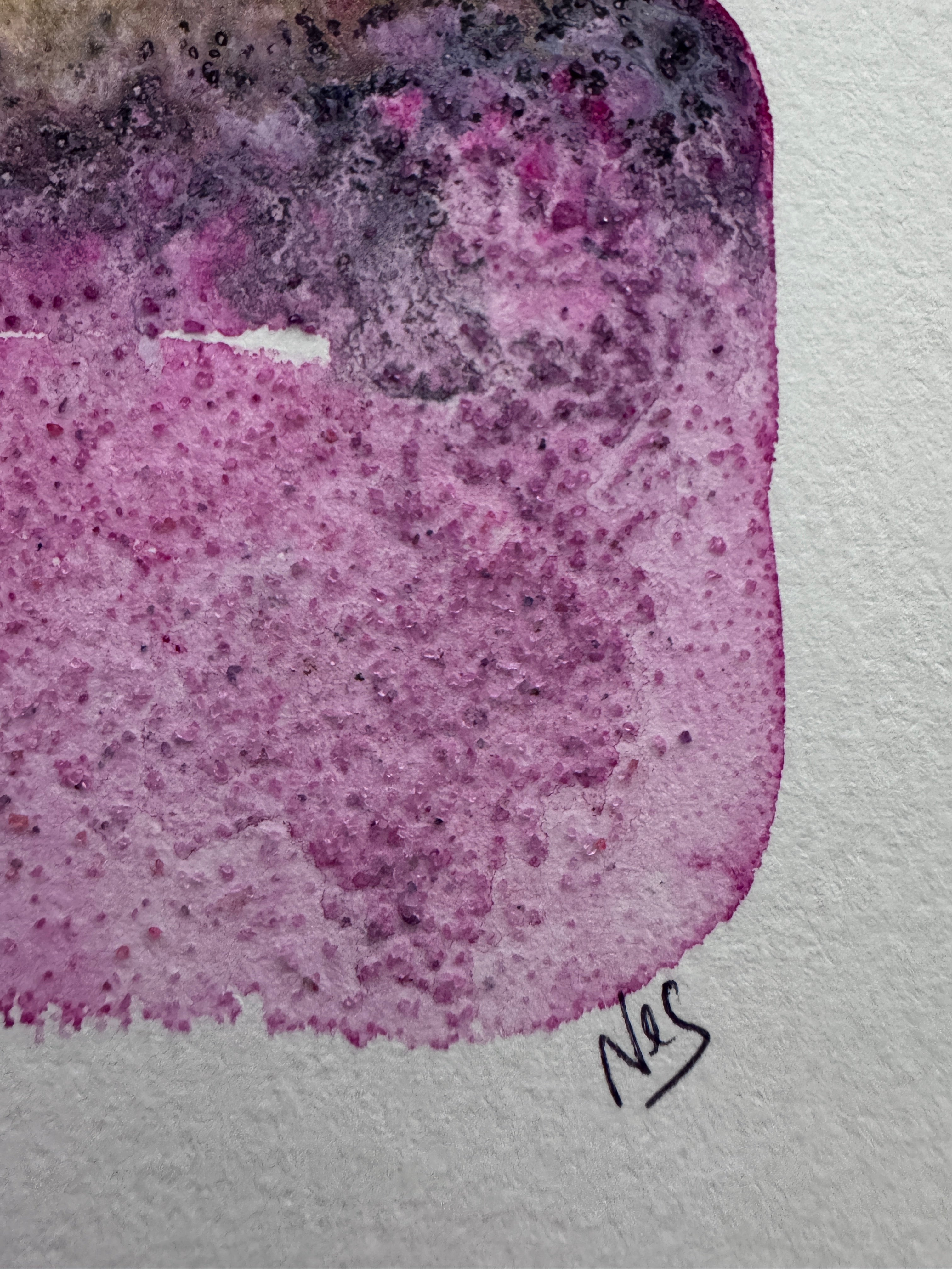 Where Light Endured (5x7in)