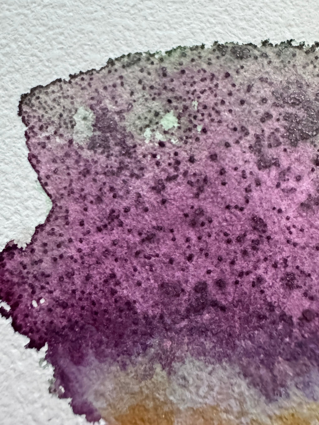 Gathering Violet (5x7in)
