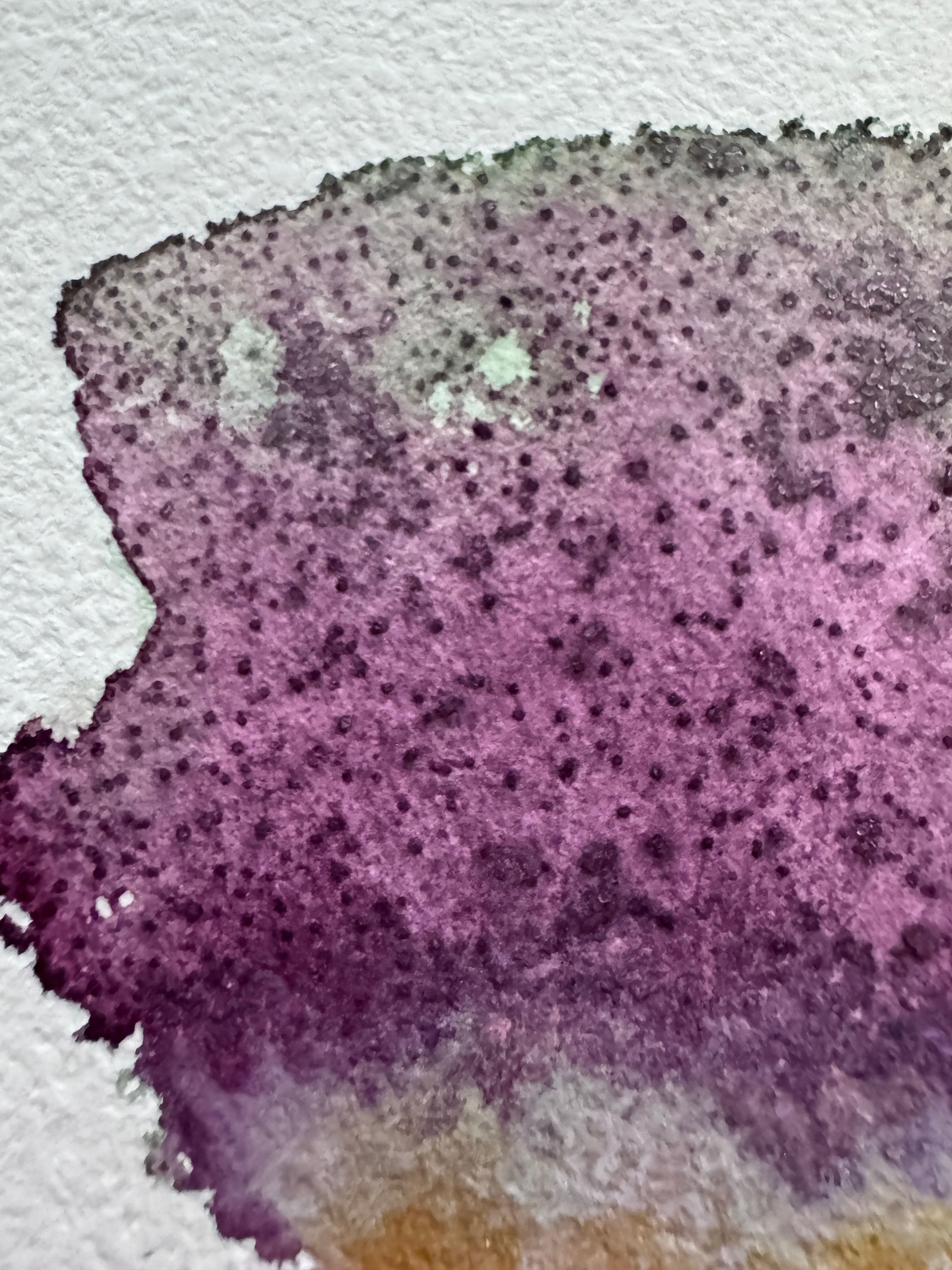Gathering Violet (5x7in)