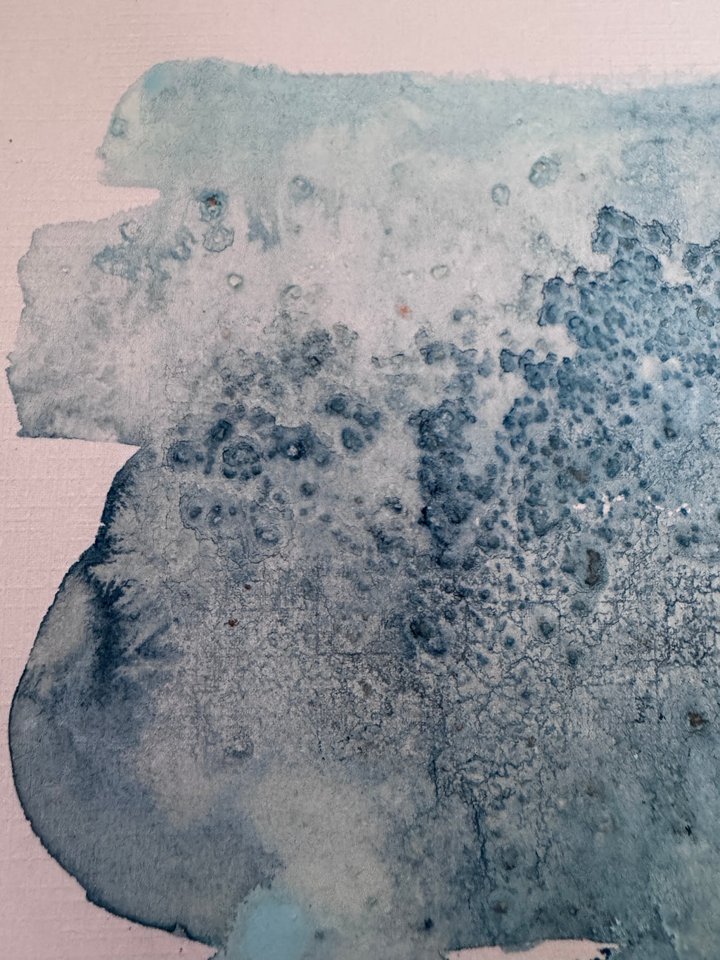 Where Morning Gathered (5x7in)