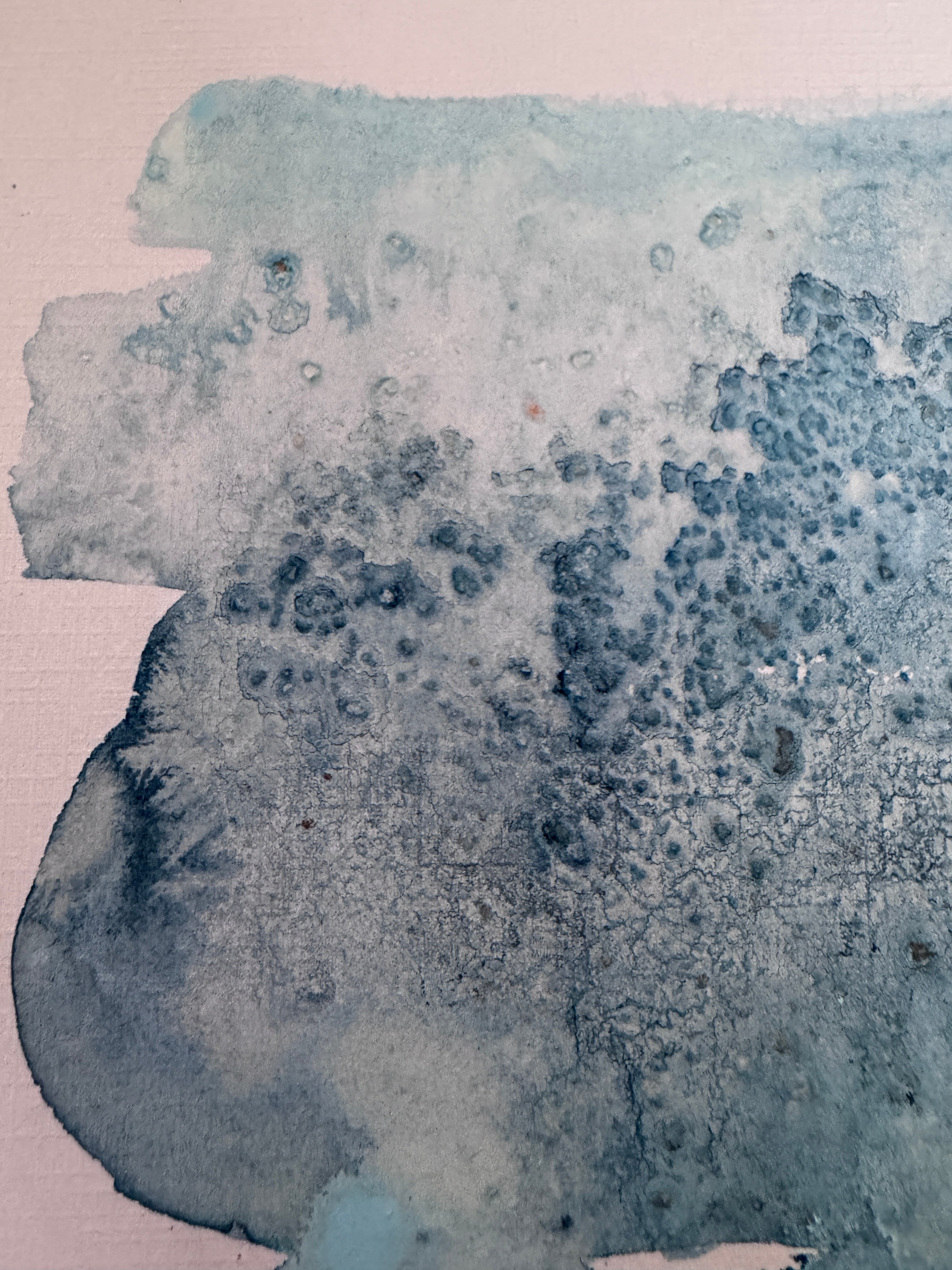 Where Morning Gathered (5x7in)