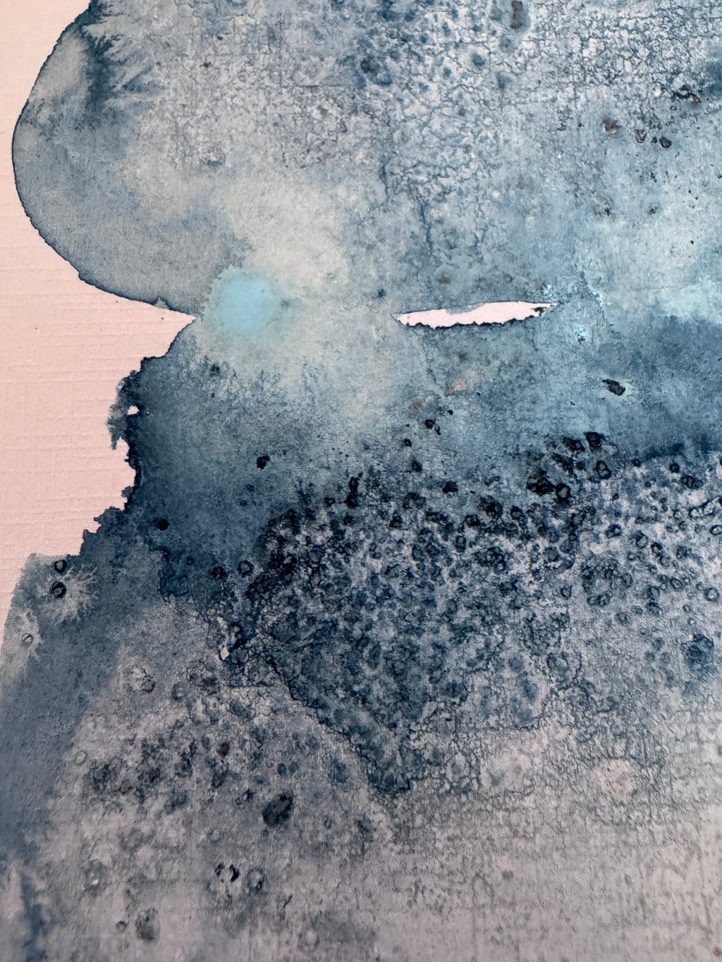Where Morning Gathered (5x7in)
