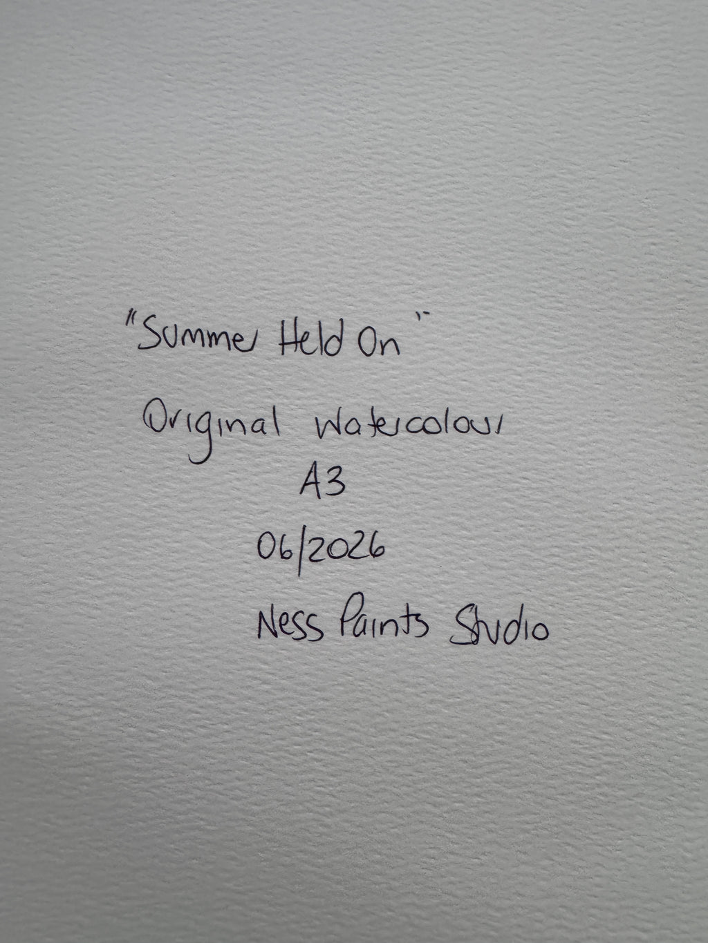 Summer Held On (A3)