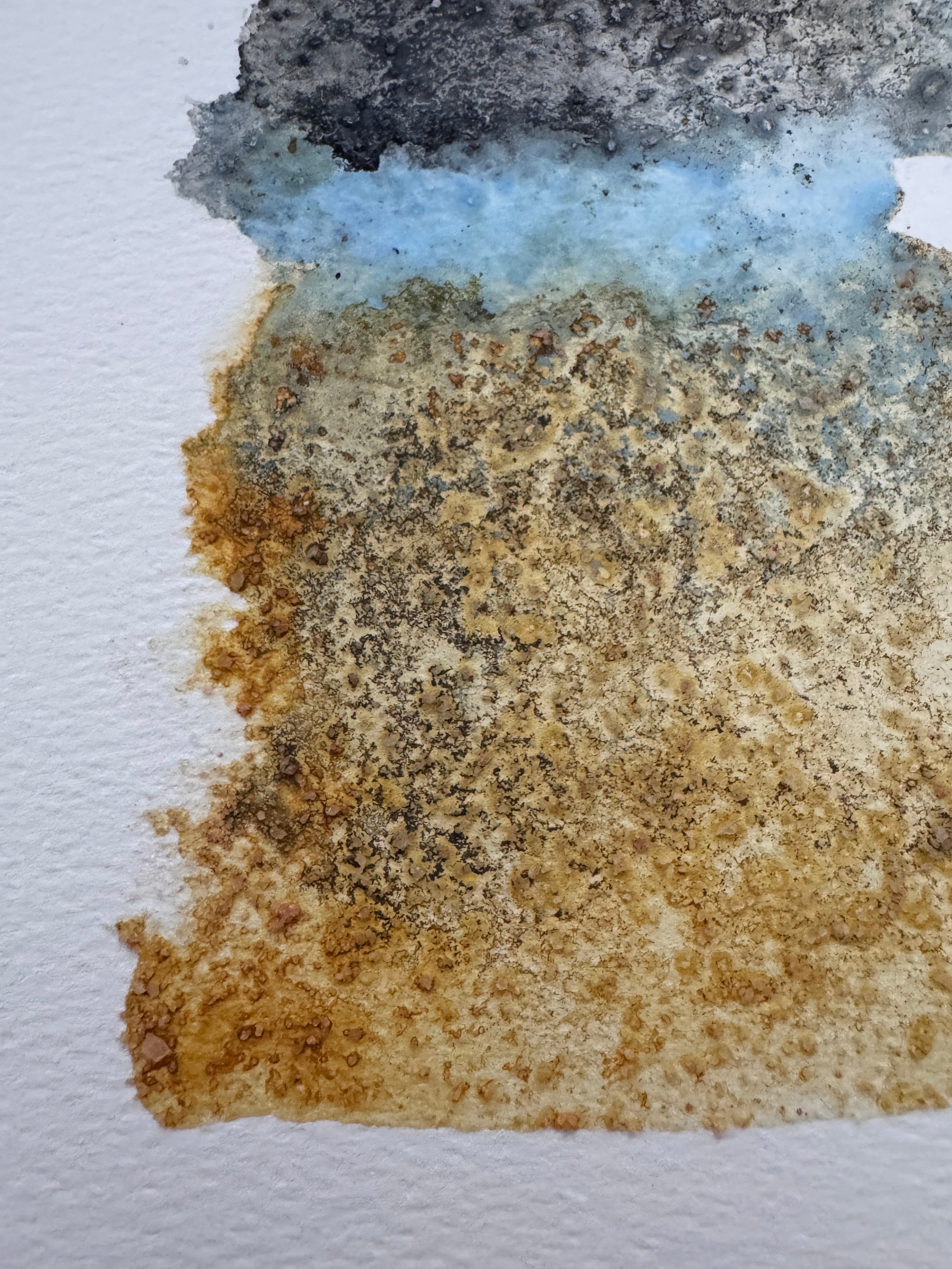 Where the Tide Waited (5x7in)