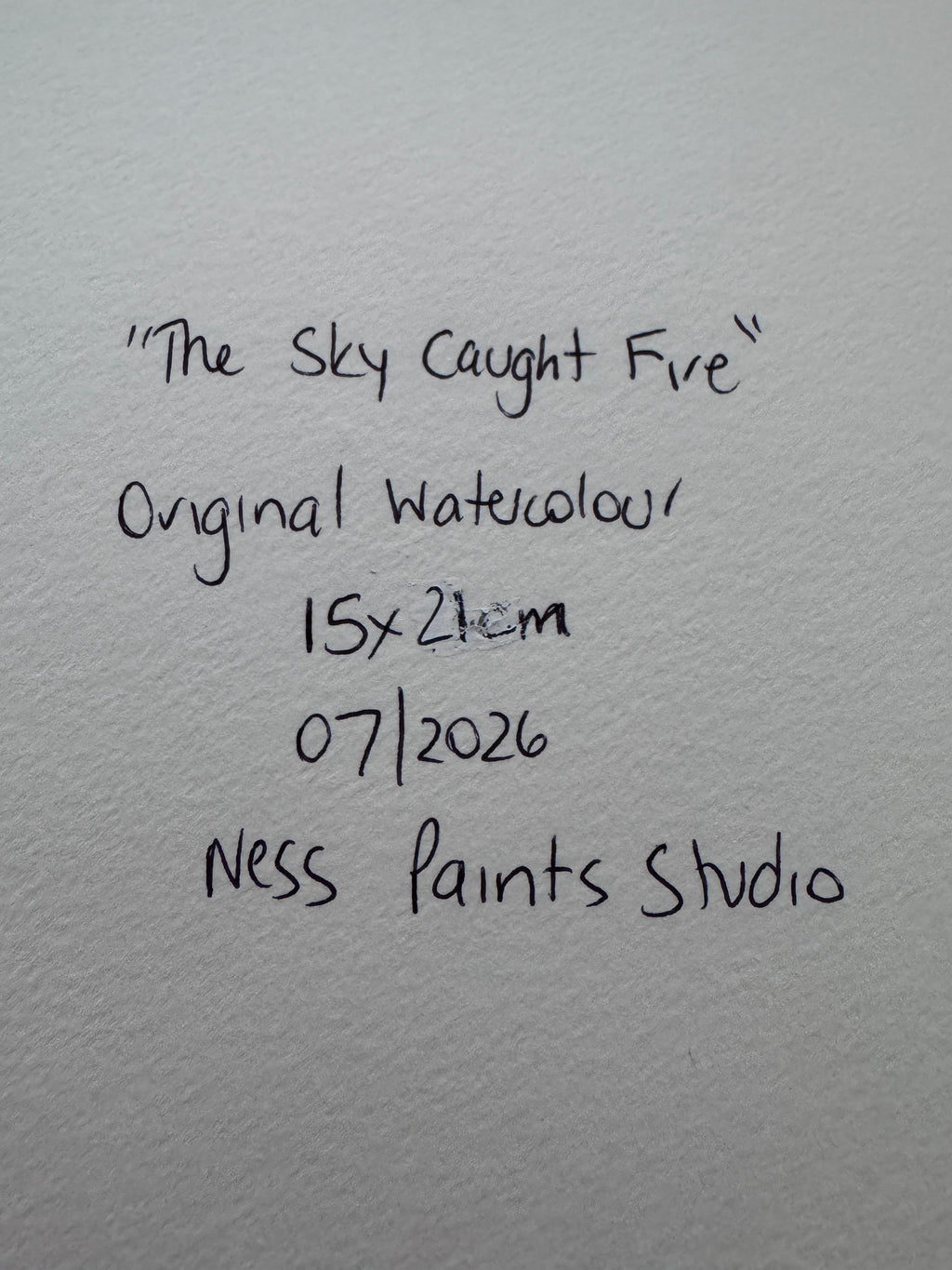 The Sky Caught Fire (15x21cm)