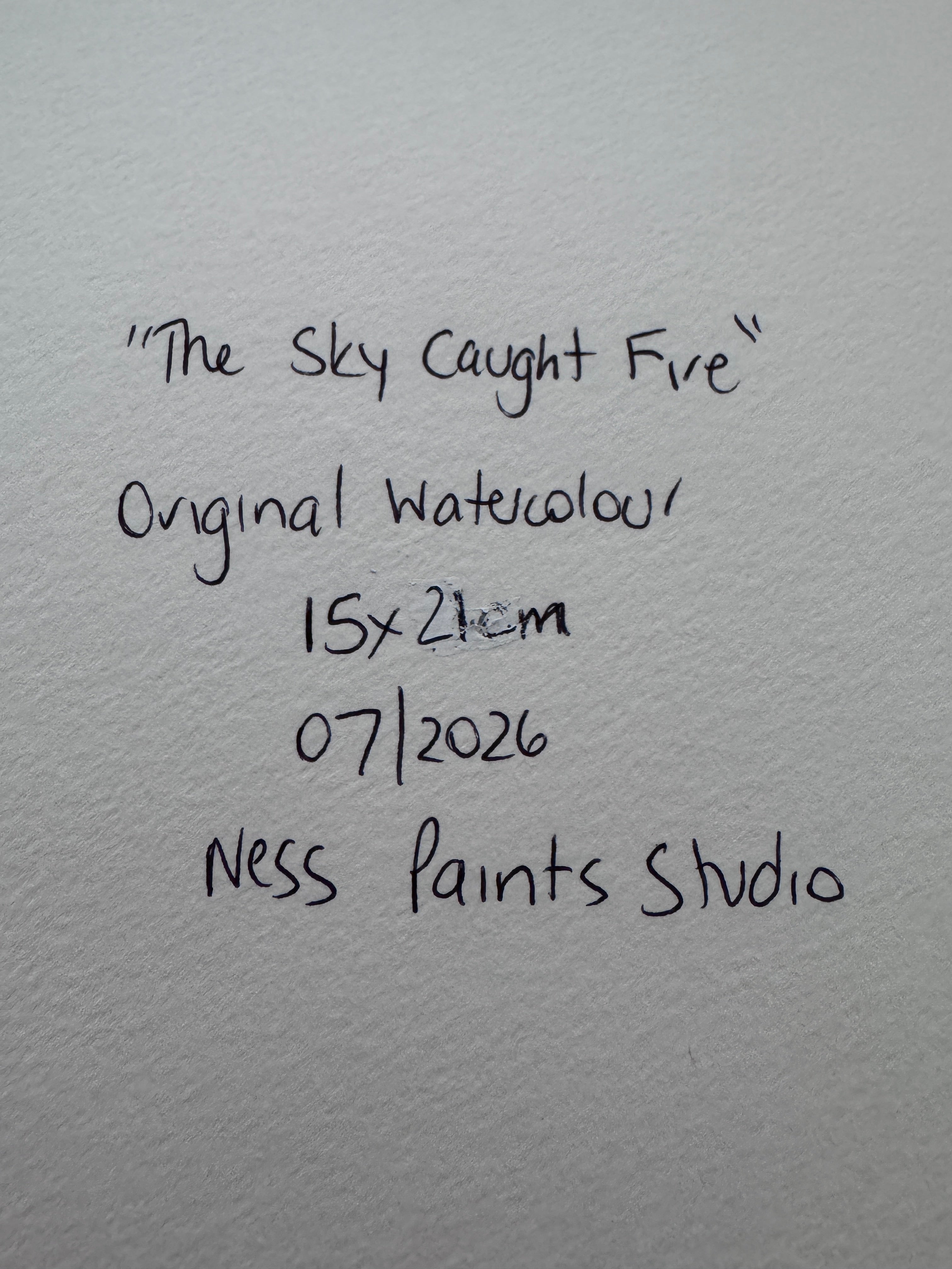 The Sky Caught Fire (15x21cm)