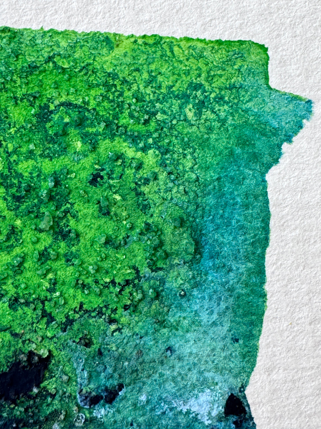 Spring Canopy (ACEO)