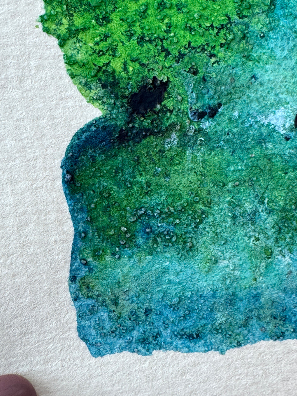 Spring Canopy (ACEO)