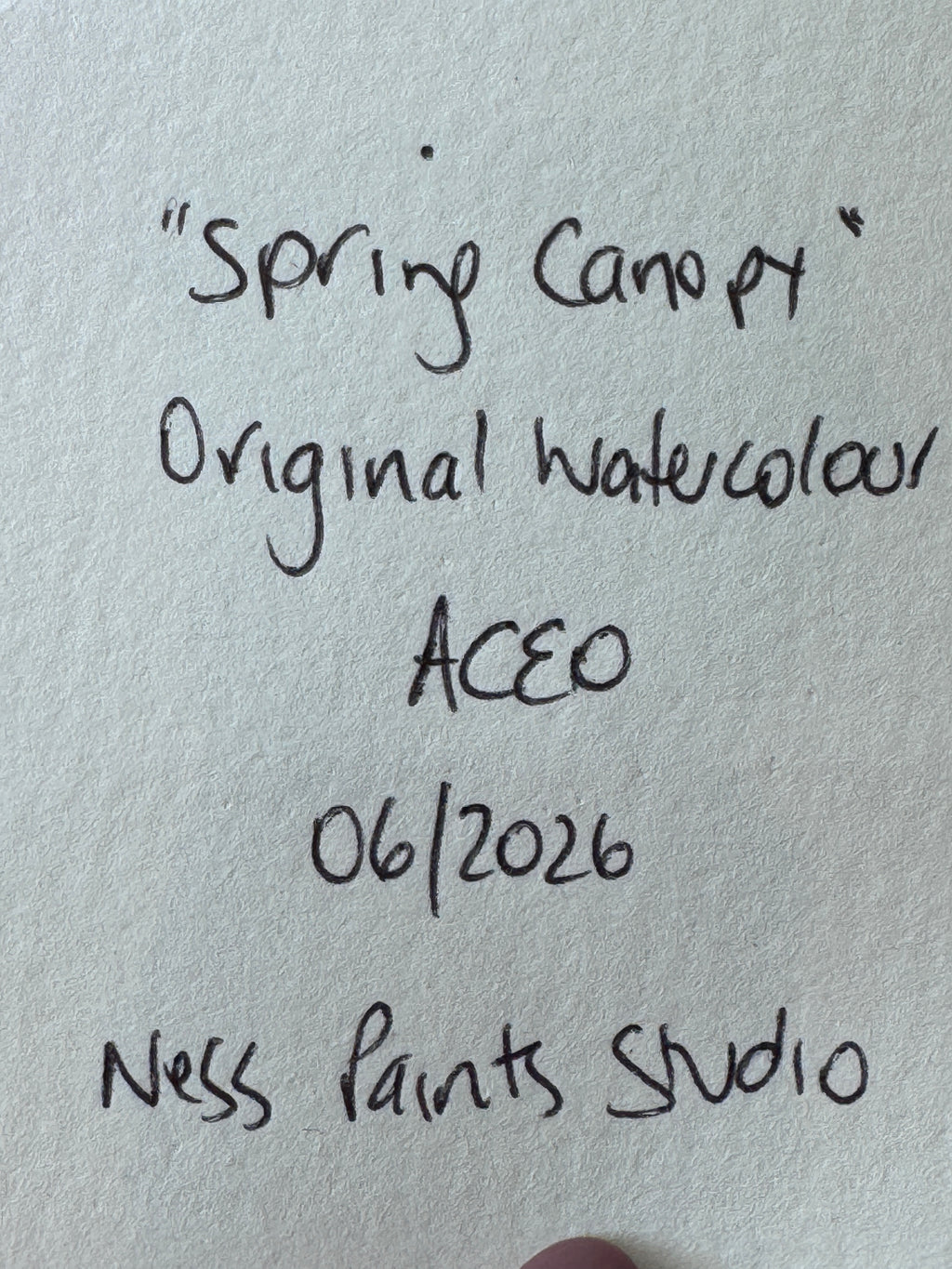 Spring Canopy (ACEO)