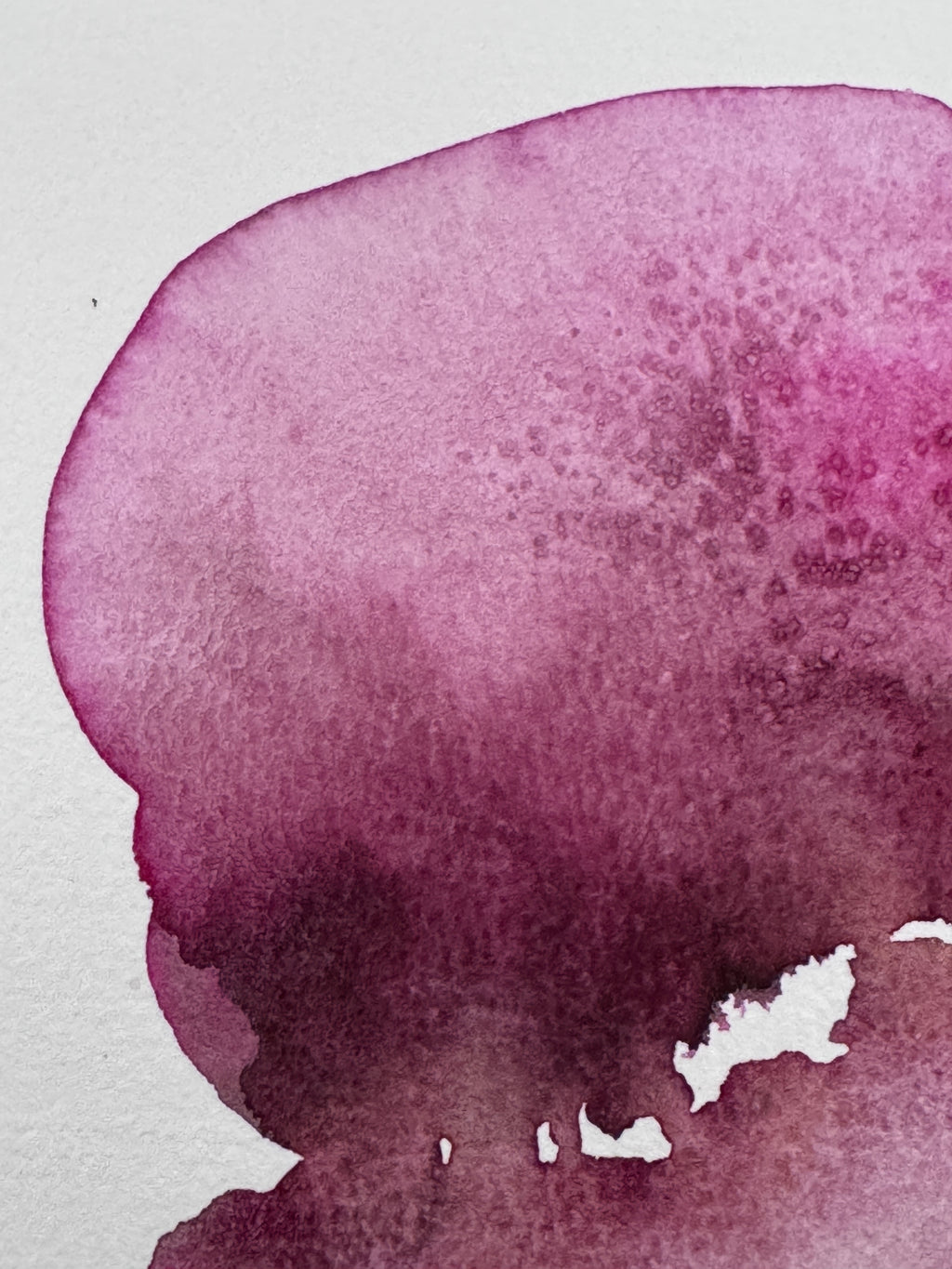 Plum Silence (5x7in)