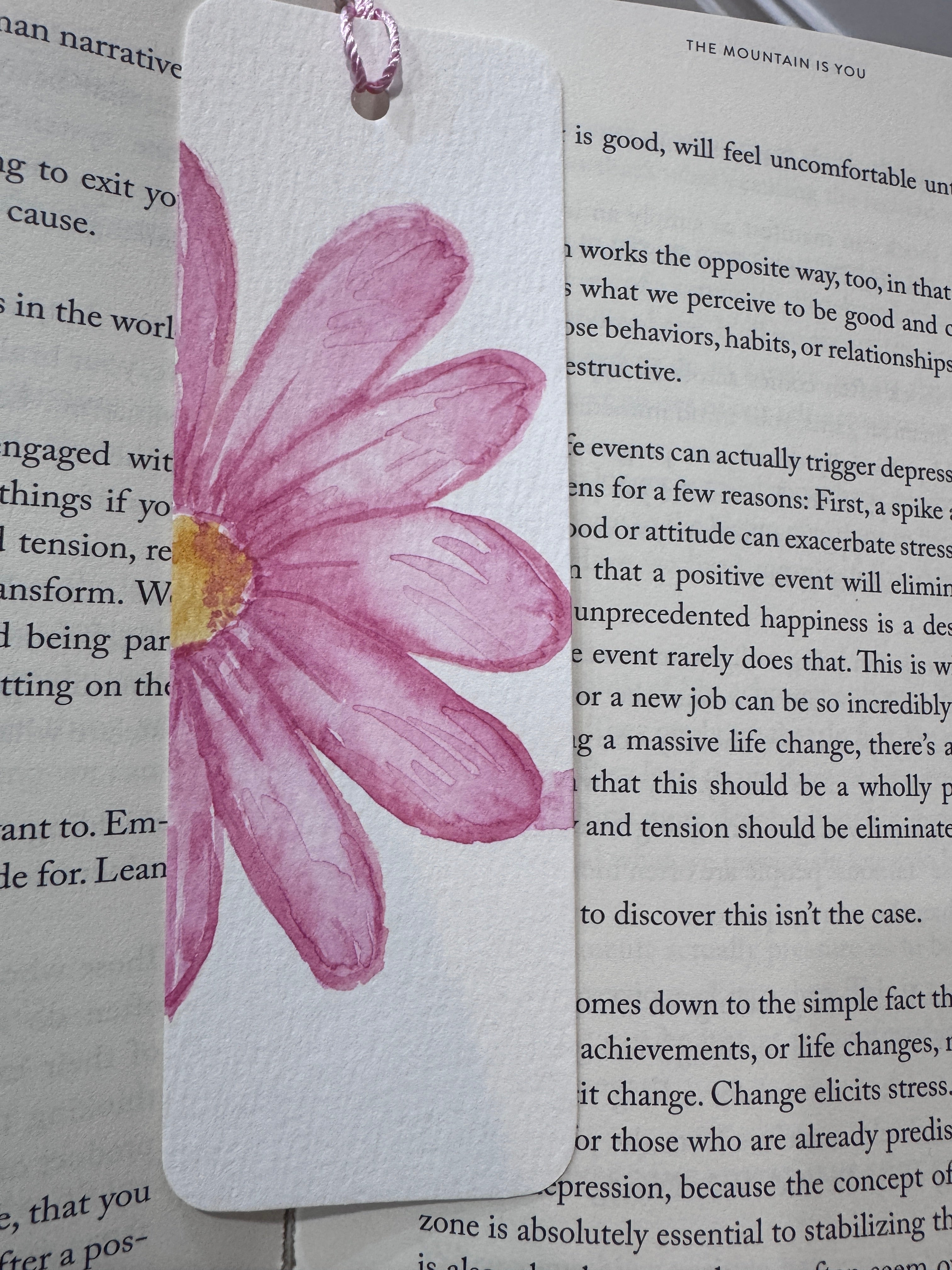 The Floral Editions – Pink Daisy No. 01