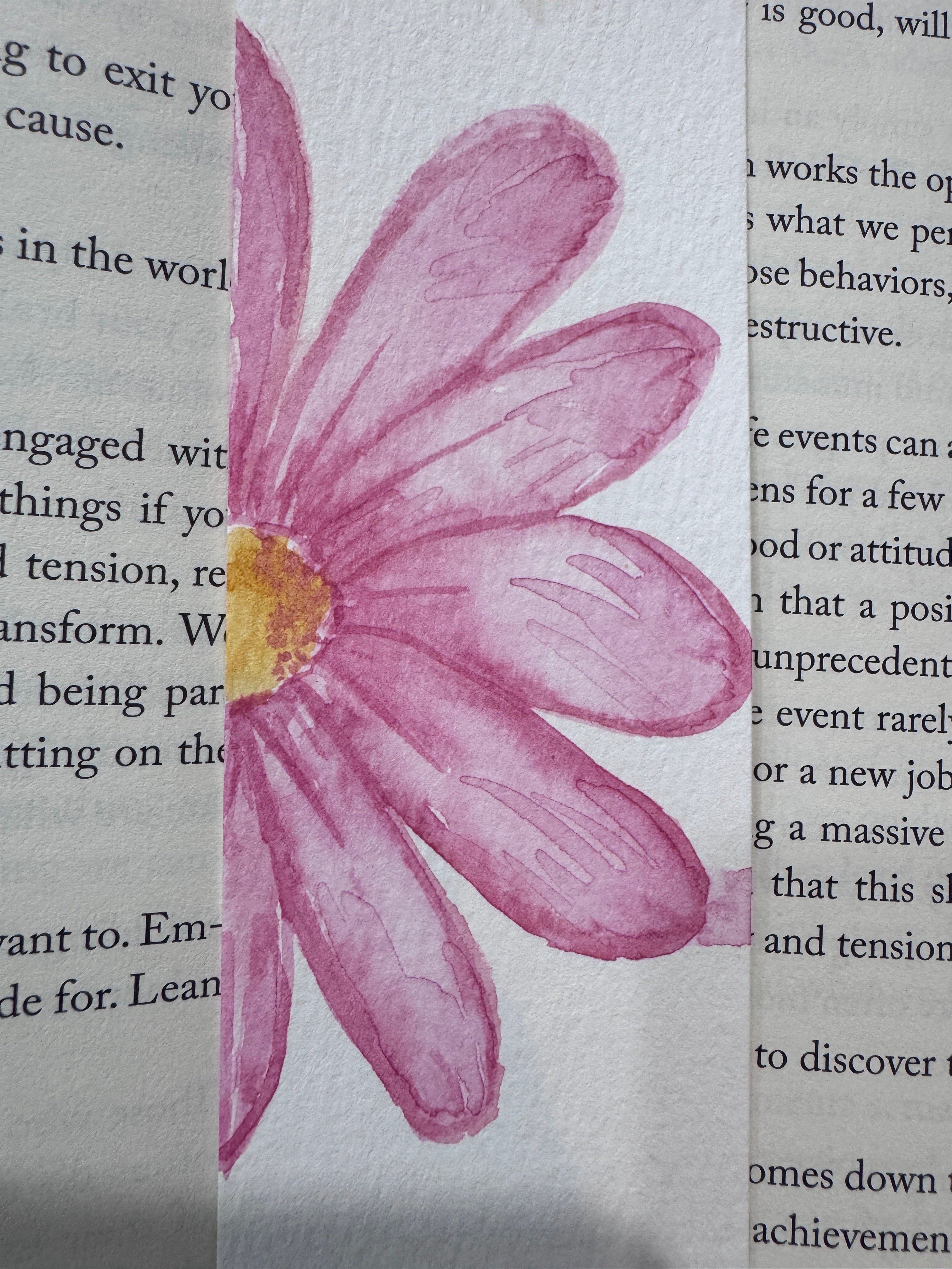The Floral Editions – Pink Daisy No. 01
